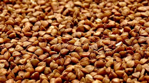 buckwheat  closeup  grain