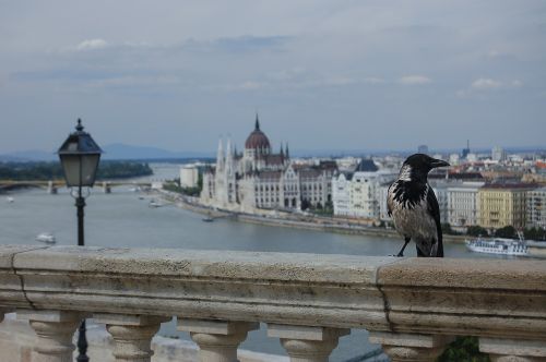 budapest danube bird's eye view