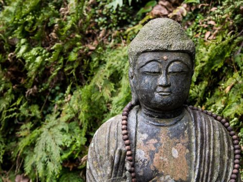 buddha buddha statue japan