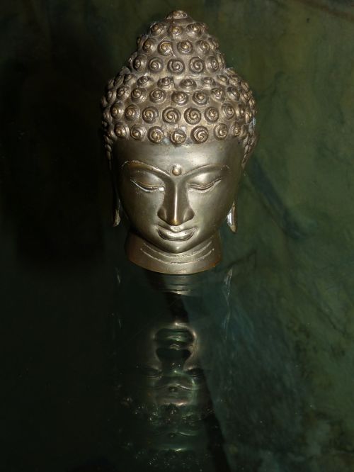 buddha buddha head sculpture
