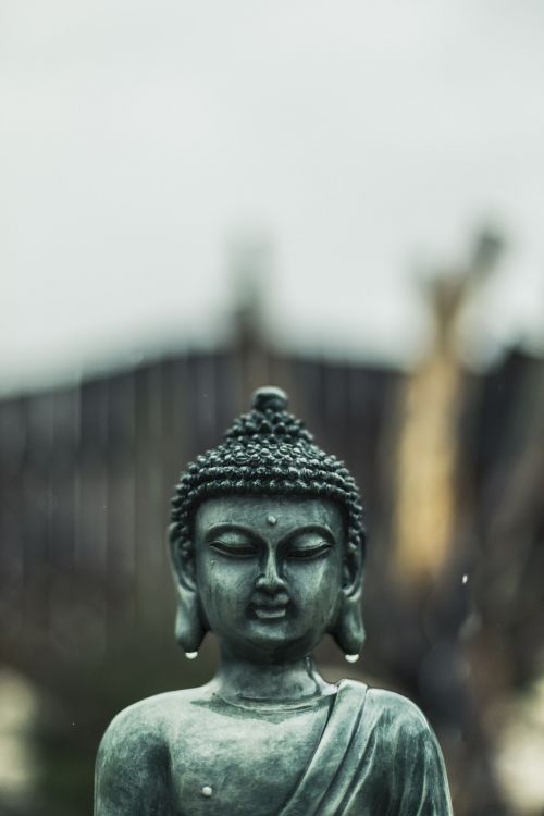 buddha rain buddhism