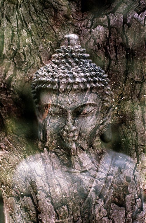 buddha meditation statue