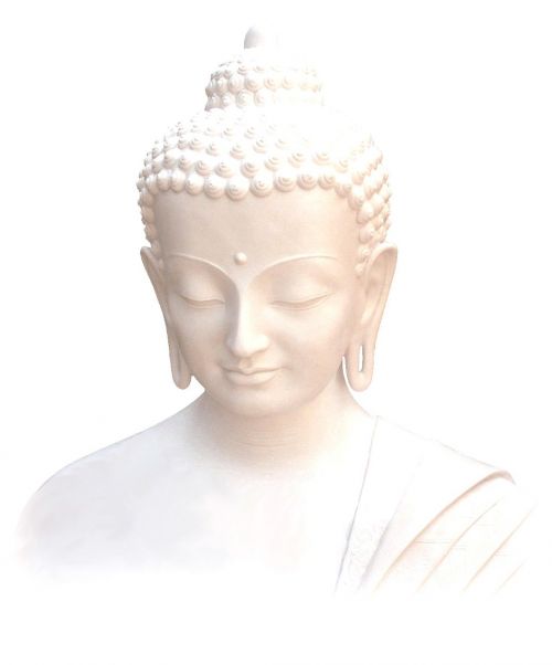 buddha nonviolence world
