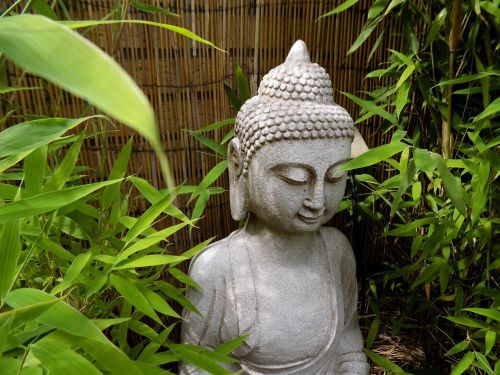 buddha zen buddhism