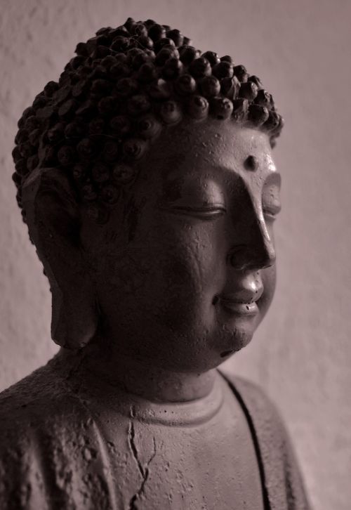 buddha statue bust