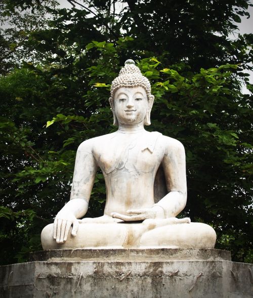 buddha india mind