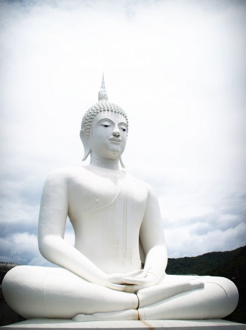 buddha india mind