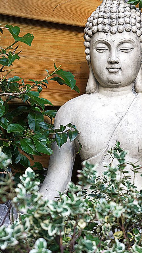 buddha buddha statue garden