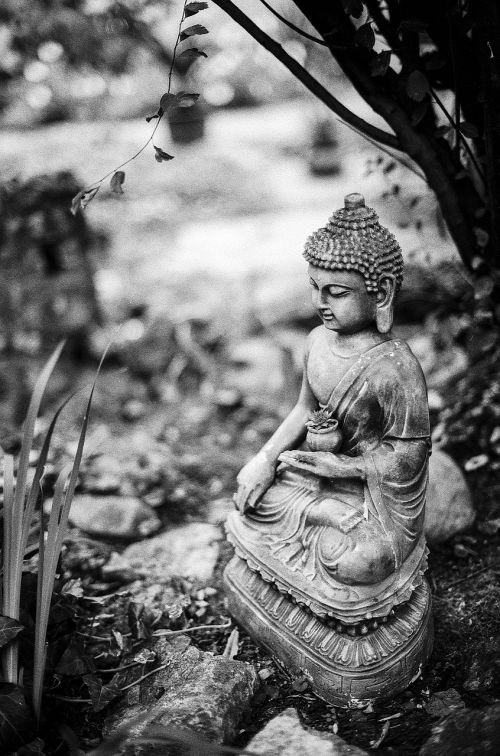 buddha statue calm