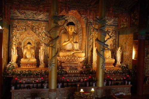 buddha buddhist temple buddhism