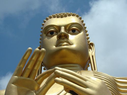 buddha zen buddhism
