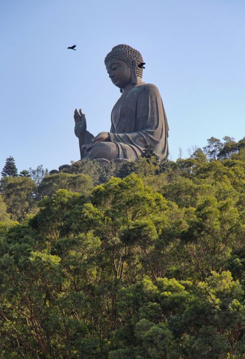 buddha hong kong lantau