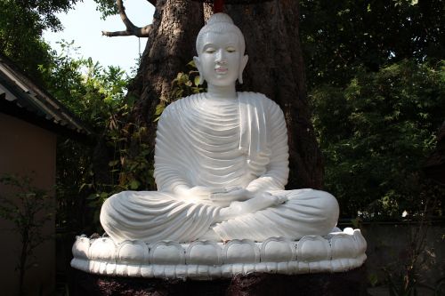 buddha buddhism meditation