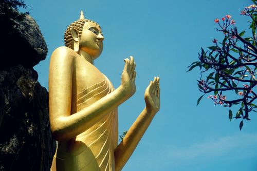 buddha thailand statue