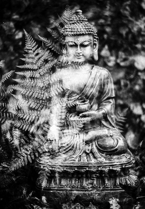 buddha leaf religion