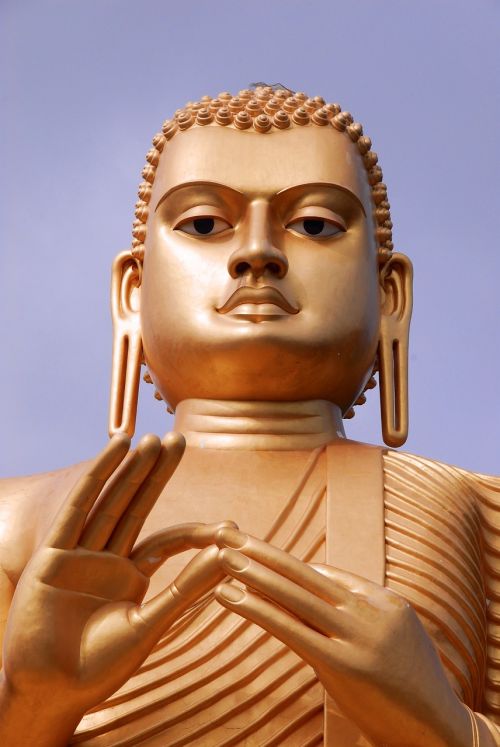 buddha buddhist buddhism
