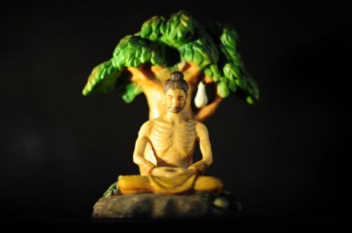 buddha enlightenment bodhi tree