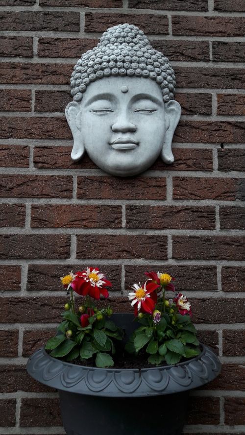 buddha religion face