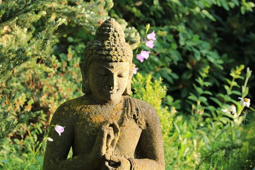 buddha  garden  nature