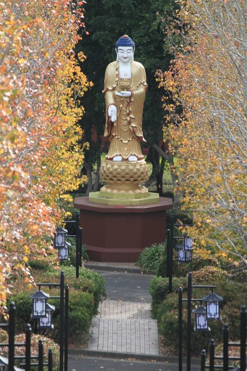buddha monk buddhism