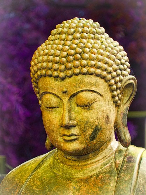 buddha  religion  meditation