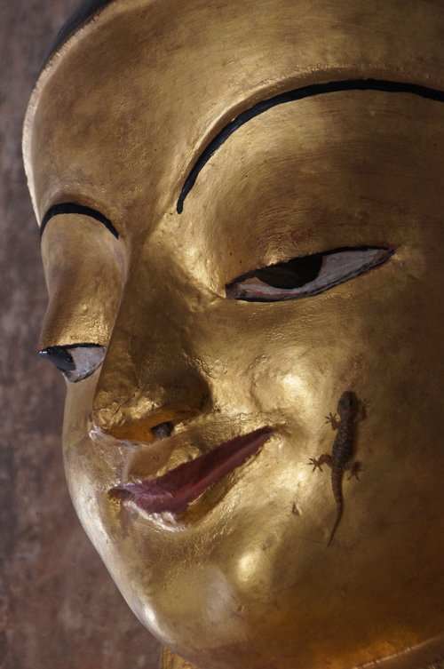 buddha  myanmar  buddhism