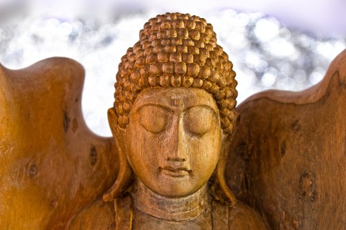 buddha  siddhartha gautama  founder