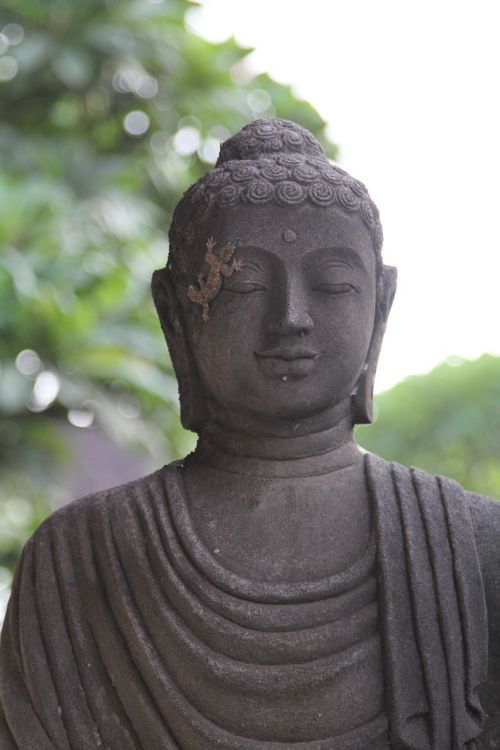 buddha statue grey