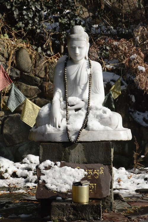 buddha  figure  meditation
