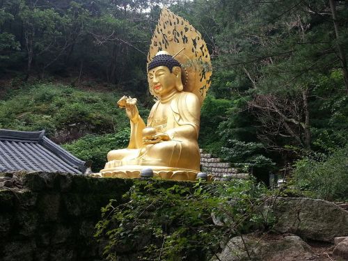 buddha korea wisdom