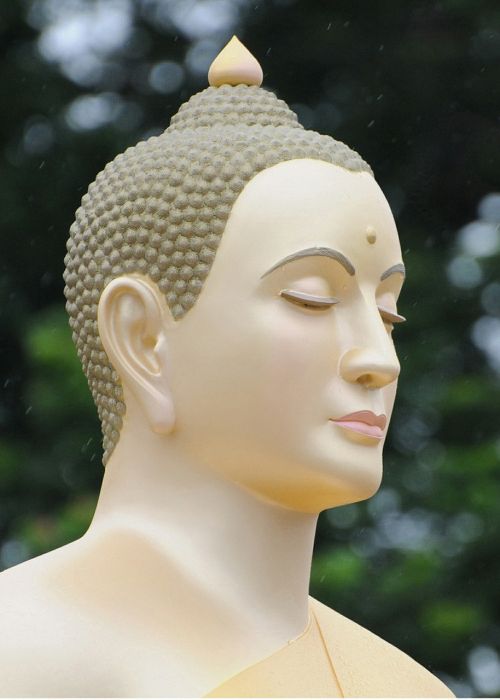 buddha buddhists meditate