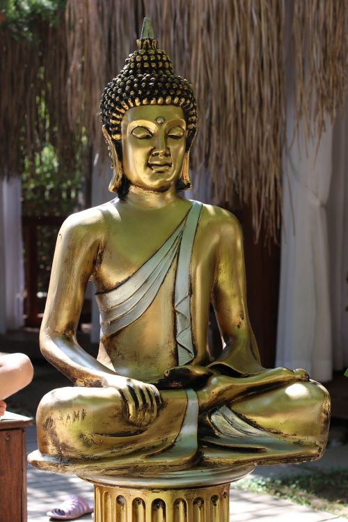 buddha yoga posa lotasa