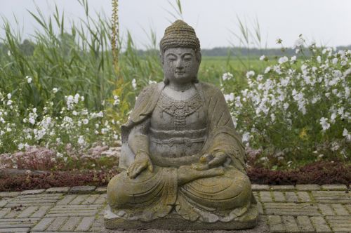 buddha image garden