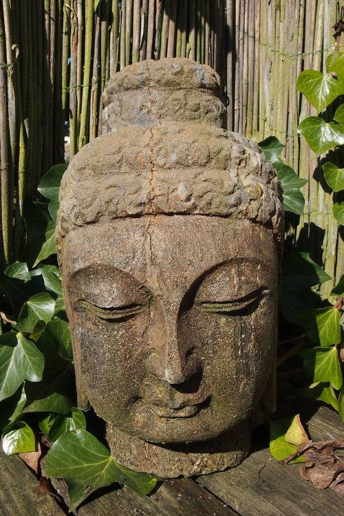 buddha meditation rest