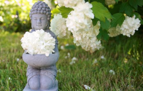 buddha wellness meditation