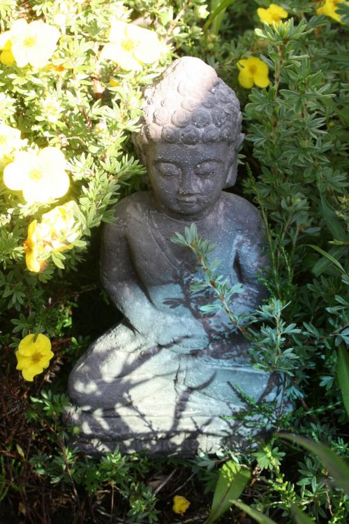 buddha buddhism statue