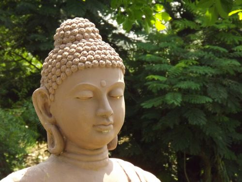 buddha head garde