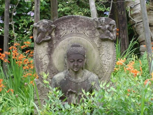 buddha buddhism religion