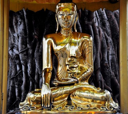 buddha schwedaggon burma