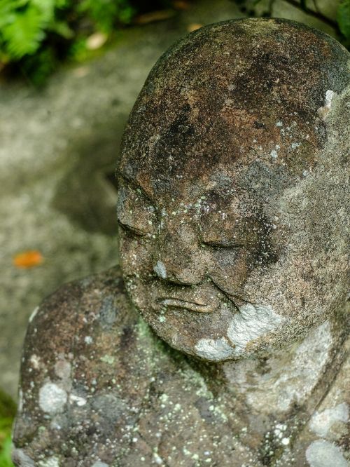 buddha statue buddha japan