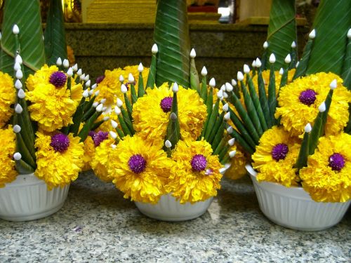 buddhism floral arrangement sacrifice