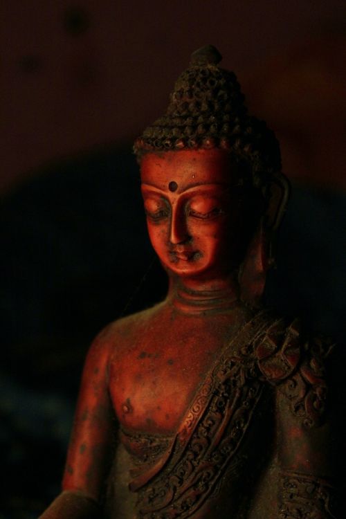buddhism buddha zen