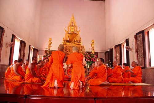 buddhist holy day  monk  buddhism