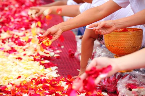 buddhists rose petals people