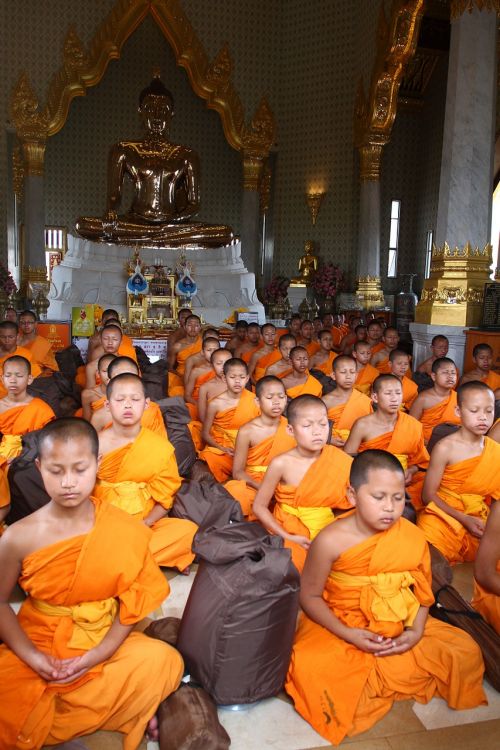 buddhists monks buddhist novice