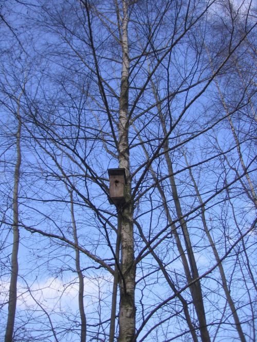 Booth On The Tree