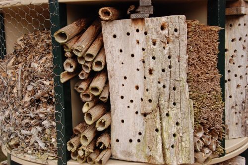 bug insects hotel hotel