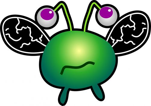 bug germ virus