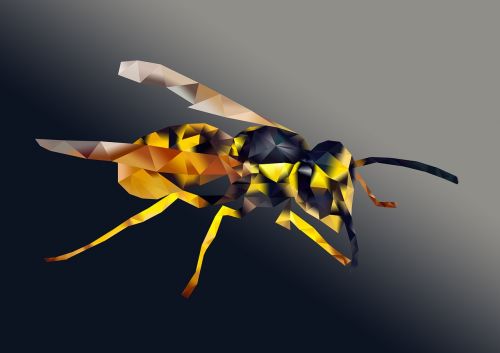 bug tweevleugeligen nature