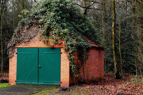 building garage ivy